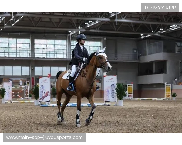 马术训练中小马乱跑，骑手却说“它在热身”